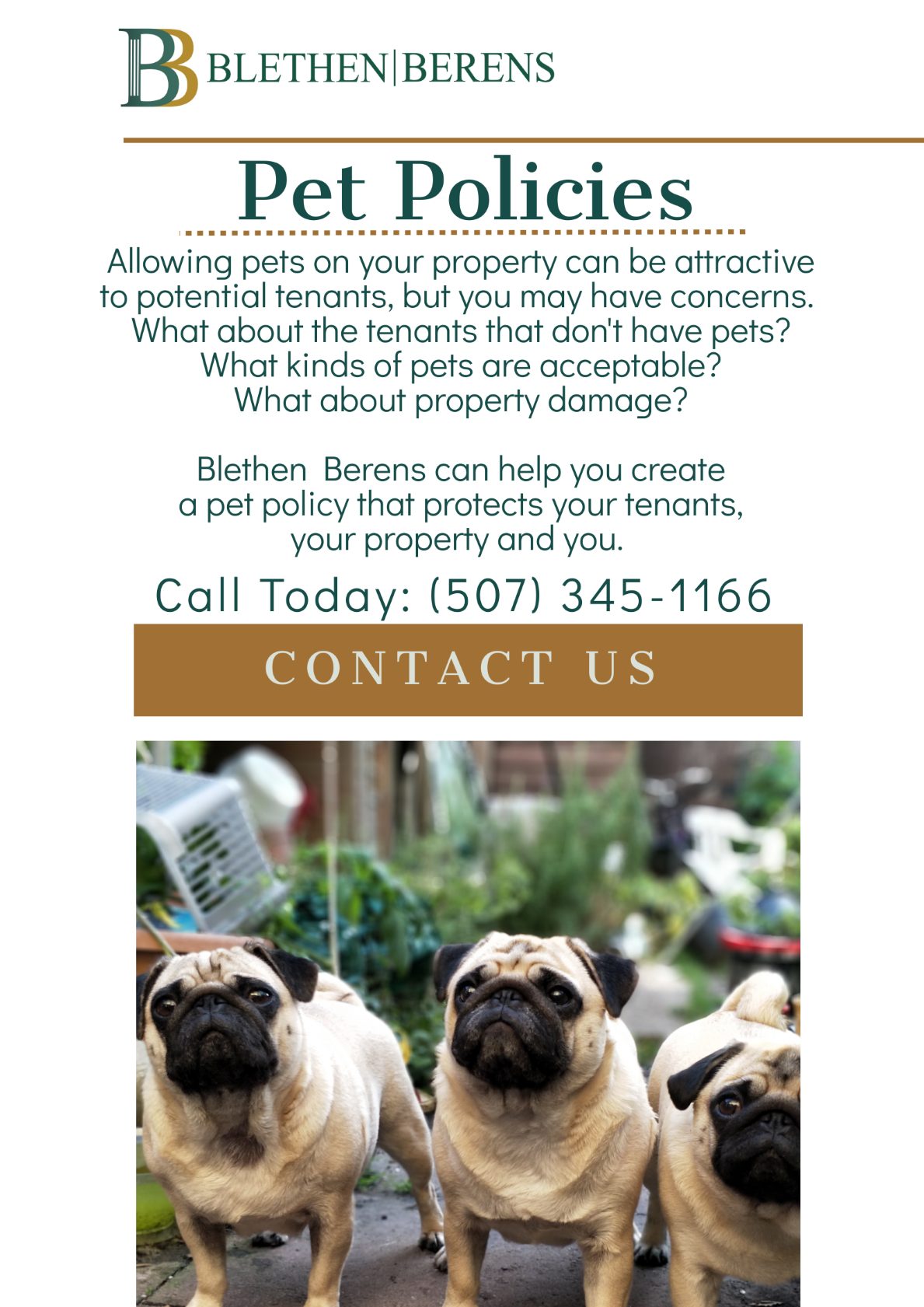 Landlords Are You Considering a Pet Policy? Blethen Berens Law Firm